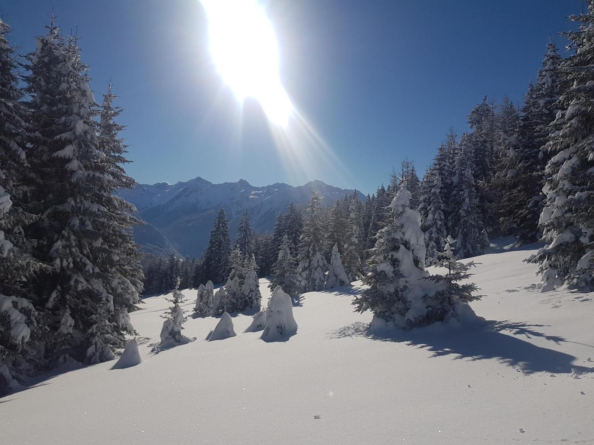 Apart Alpenzeit Arzl im Pitztal Extérieur photo